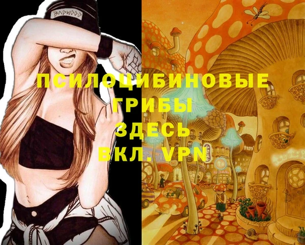 молекула духа Балабаново
